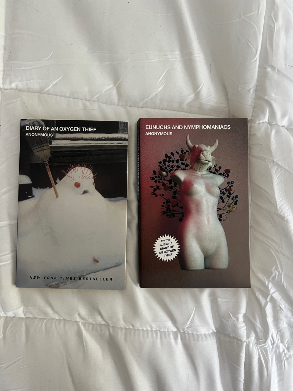 Diary of a Oxygen Thief Series BUNDLE